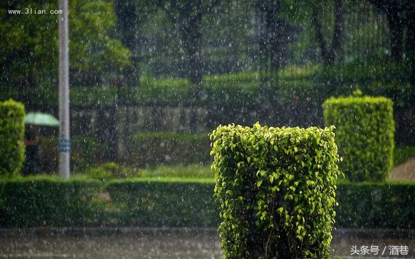 梦到下大雨，有什么征兆吗？