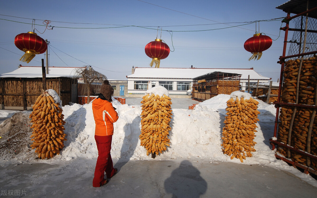 十二月打雷民间说法 农村俗语“腊月雪打雷，正月黄土堆”，说的啥意思呢？